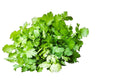 Korinder leaf