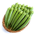 Ladyfinger