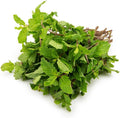 Mint leaves
