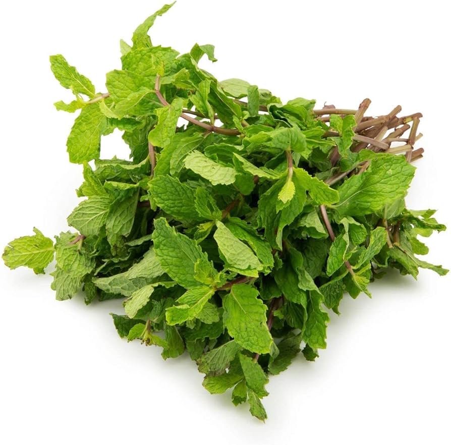 Mint leaves