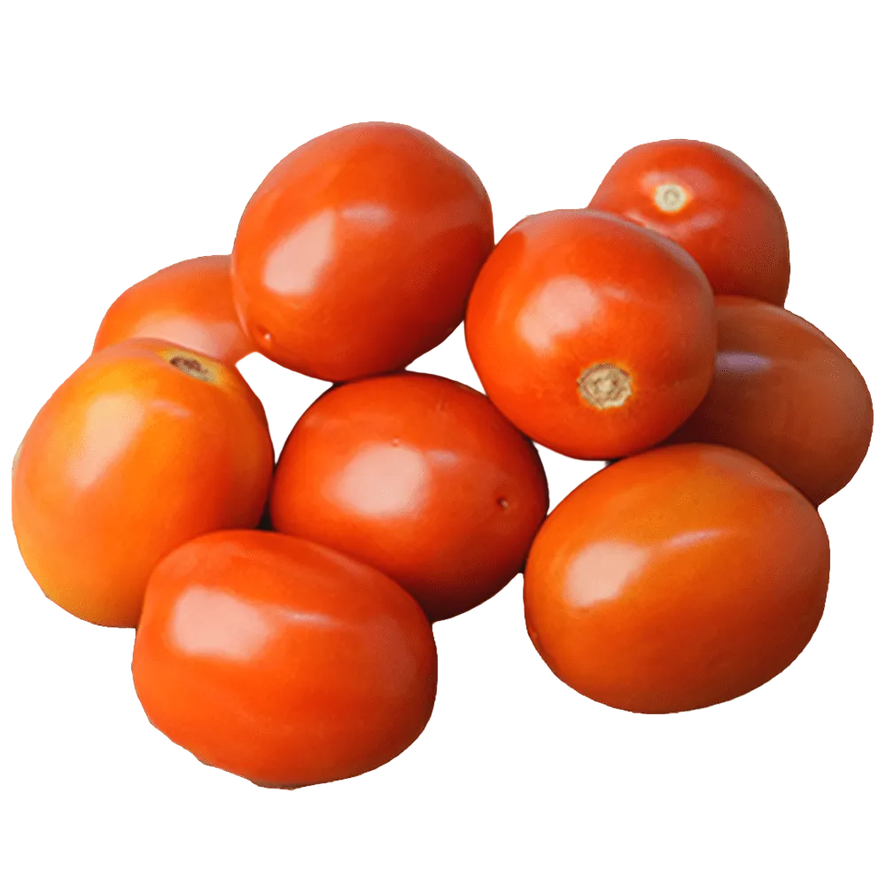 Tomato