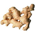 Ginger