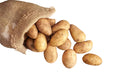Potato