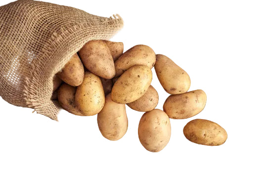 Potato
