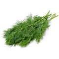 Dill leaves